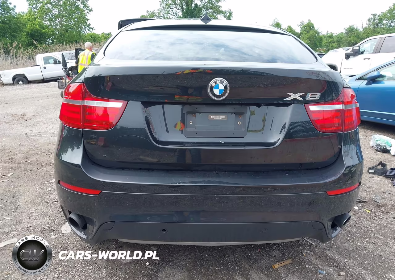 2014 BMW X6 xDrive35I VIN:5UXFG2C53E0C43917 - 17