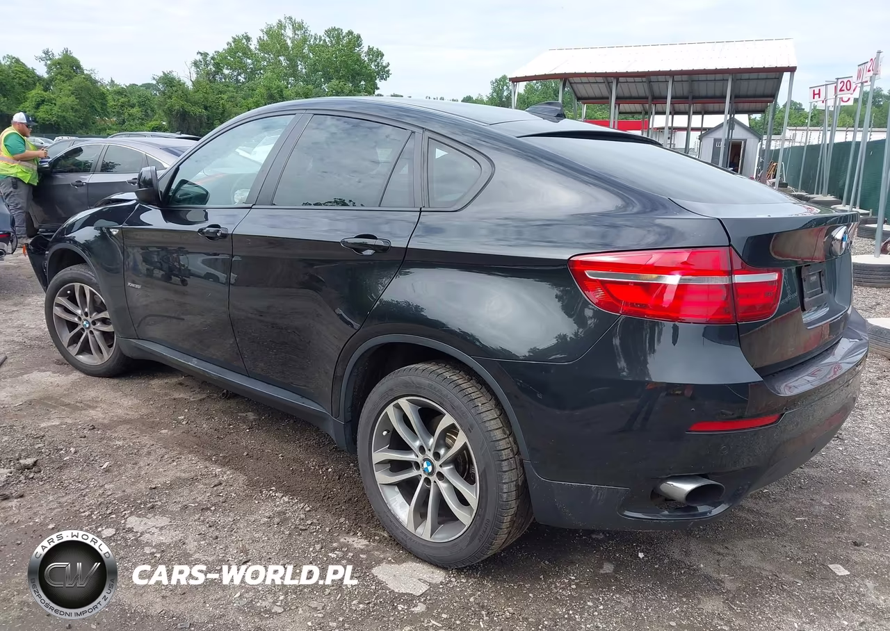 2014 BMW X6 xDrive35I VIN:5UXFG2C53E0C43917 - 3