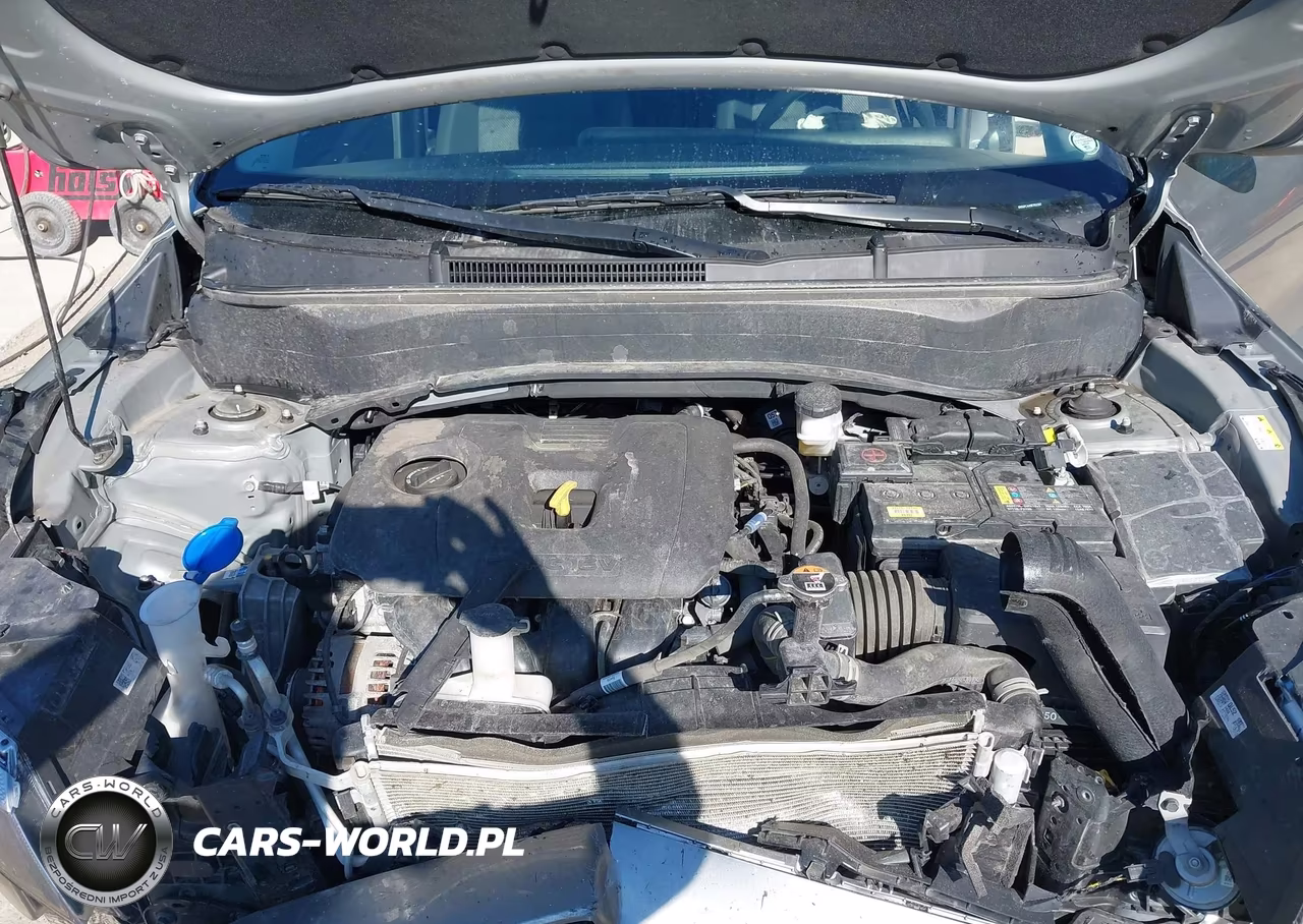 2024 Kia Seltos Lx VIN:KNDEPCAA9R7652307 - 10