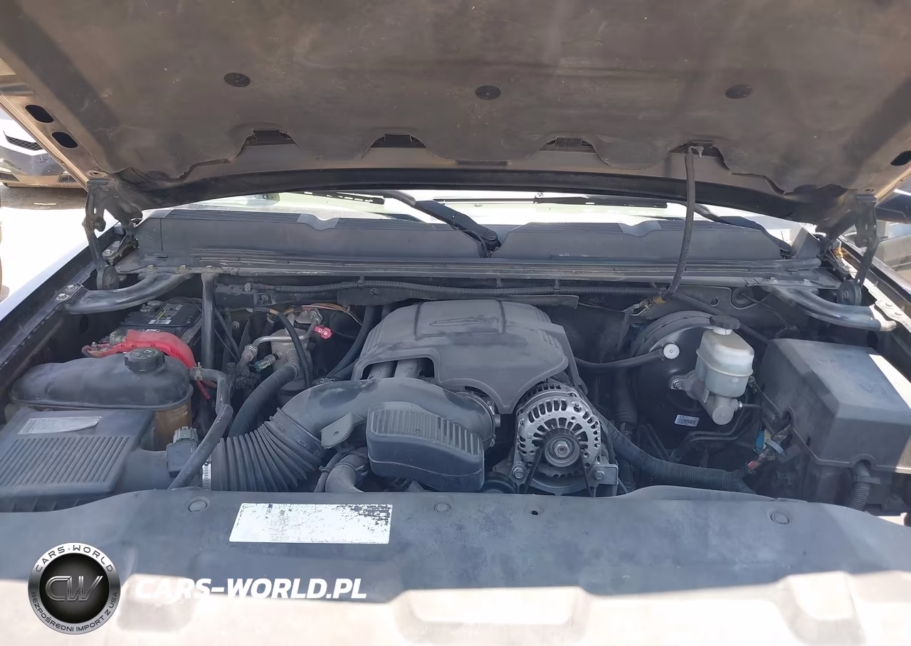 2009 Chevrolet Silverado 1500 Ls VIN:3GCEC13C29G191941 - 10