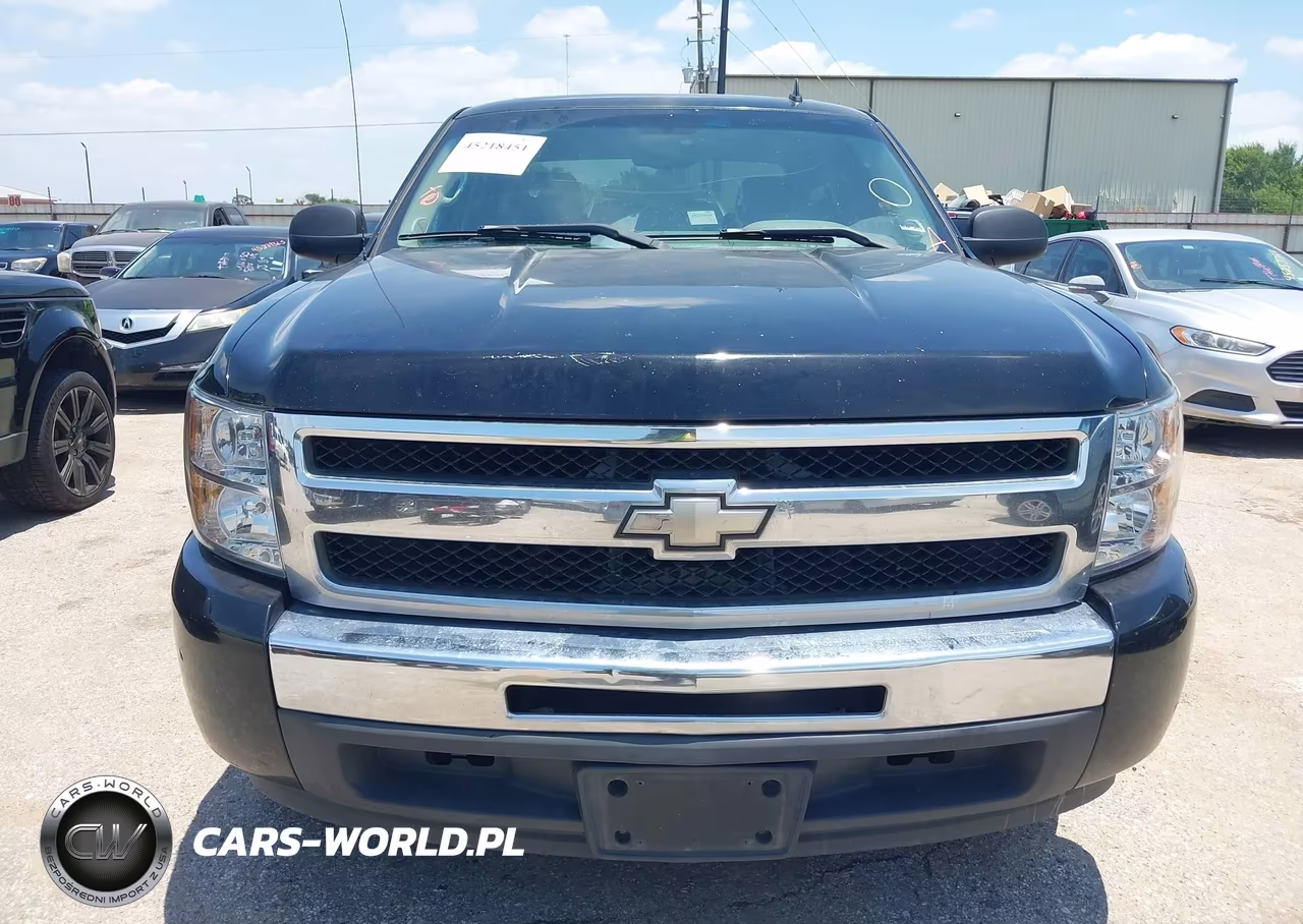 2009 Chevrolet Silverado 1500 Ls VIN:3GCEC13C29G191941 - 12