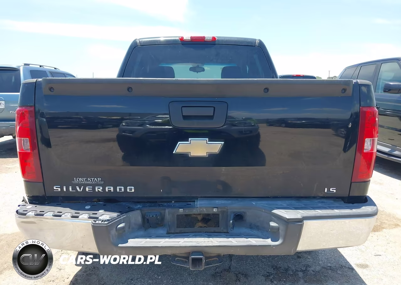 2009 Chevrolet Silverado 1500 Ls VIN:3GCEC13C29G191941 - 16