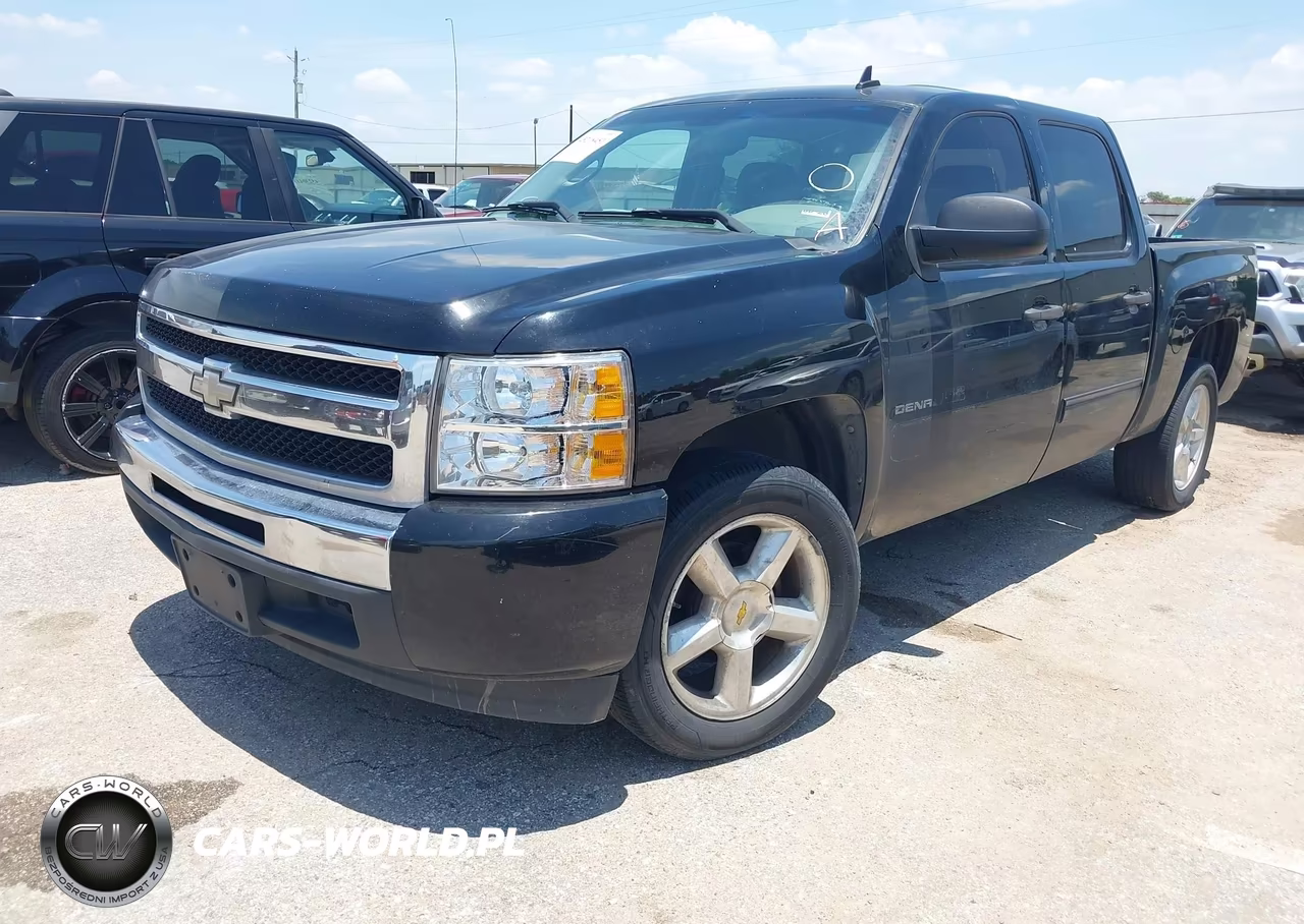 2009 Chevrolet Silverado 1500 Ls VIN:3GCEC13C29G191941 - 2