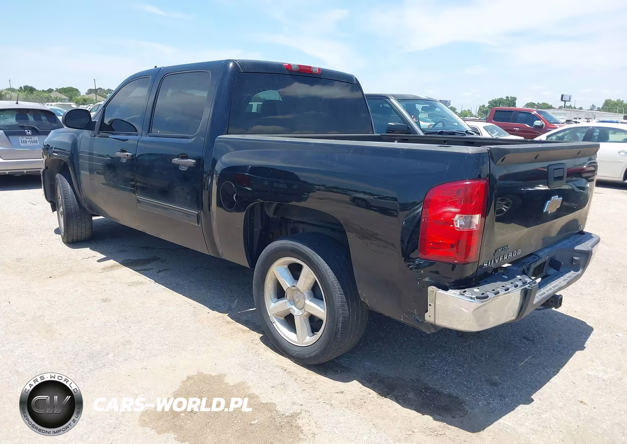 2009 Chevrolet Silverado 1500 Ls VIN:3GCEC13C29G191941 - 3
