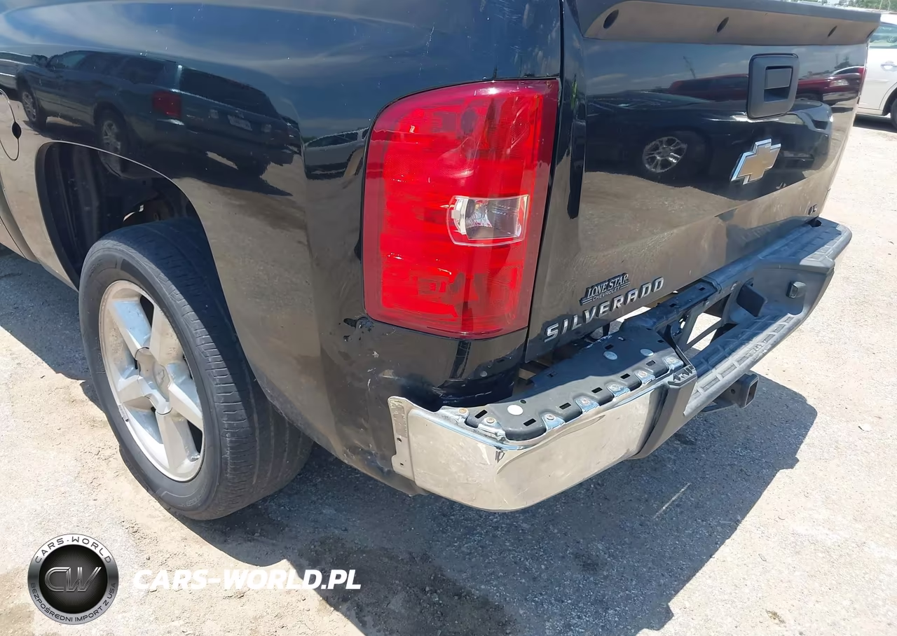 2009 Chevrolet Silverado 1500 Ls VIN:3GCEC13C29G191941 - 6