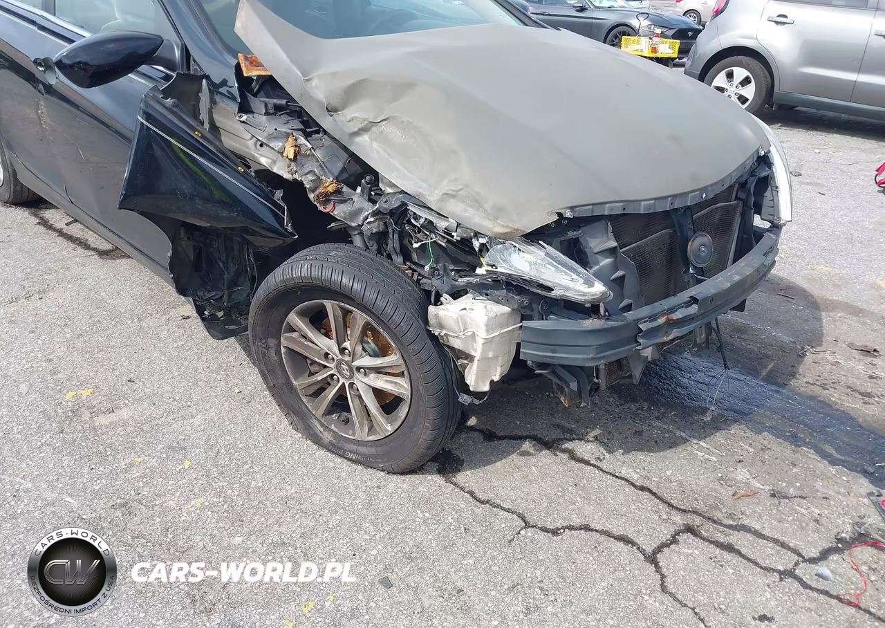 2011 Hyundai Sonata Gls VIN:5NPEB4AC8BH029767 - 6