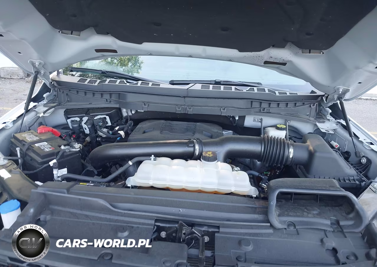 2021 Ford F-150 Tremor VIN:1FTEW1E86MFD00248 - 10