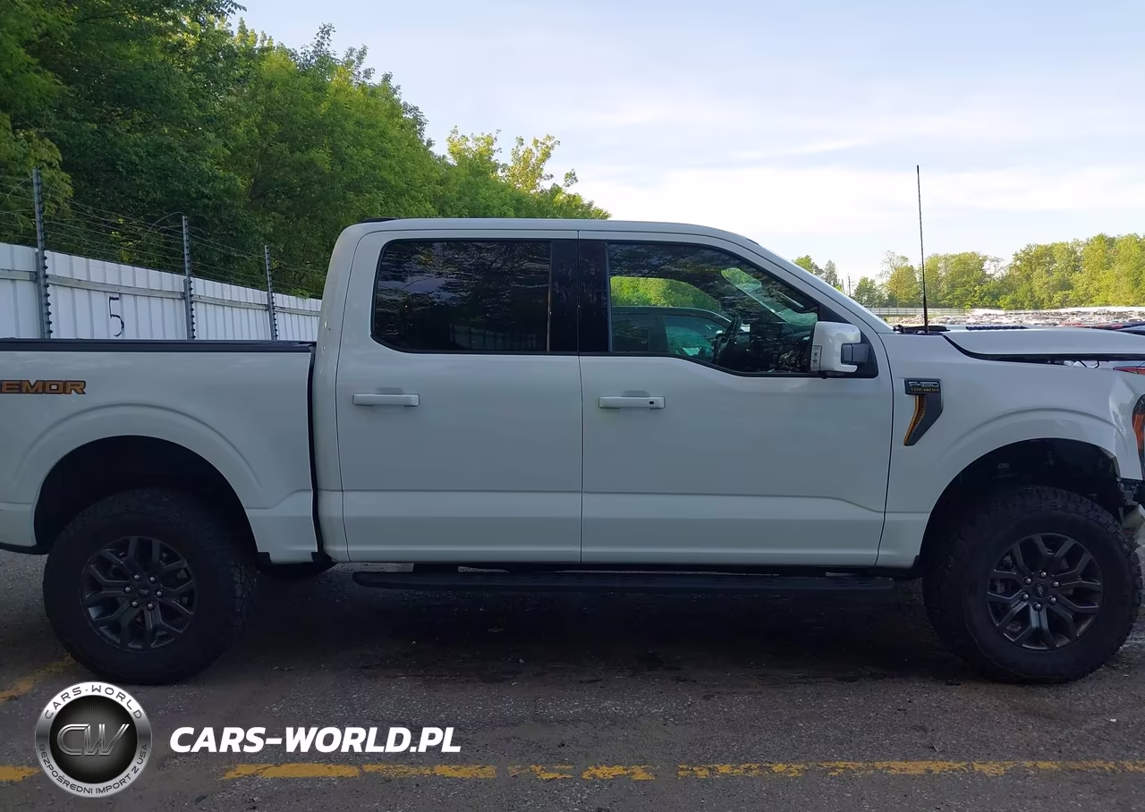 2021 Ford F-150 Tremor VIN:1FTEW1E86MFD00248 - 13