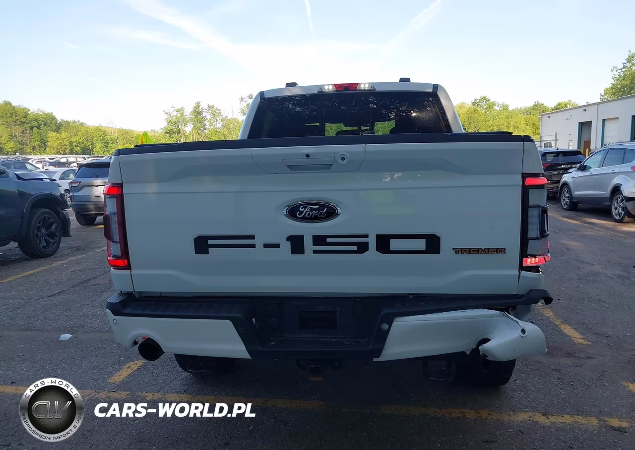 2021 Ford F-150 Tremor VIN:1FTEW1E86MFD00248 - 16