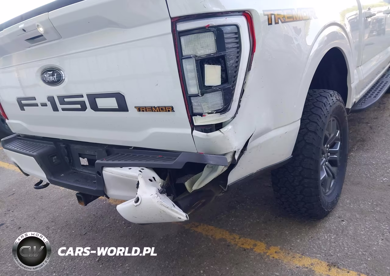 2021 Ford F-150 Tremor VIN:1FTEW1E86MFD00248 - 17