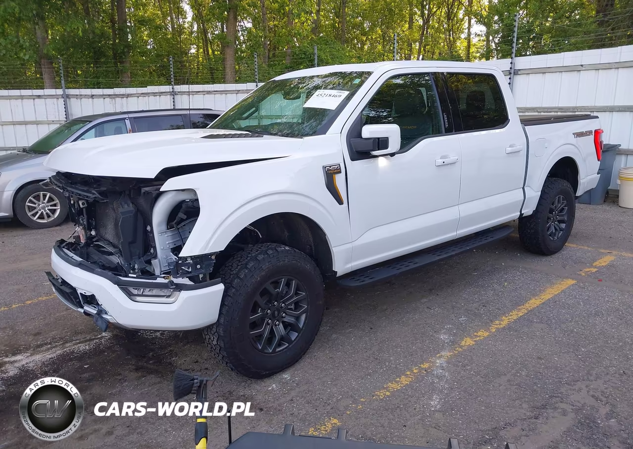 2021 Ford F-150 Tremor VIN:1FTEW1E86MFD00248 - 2
