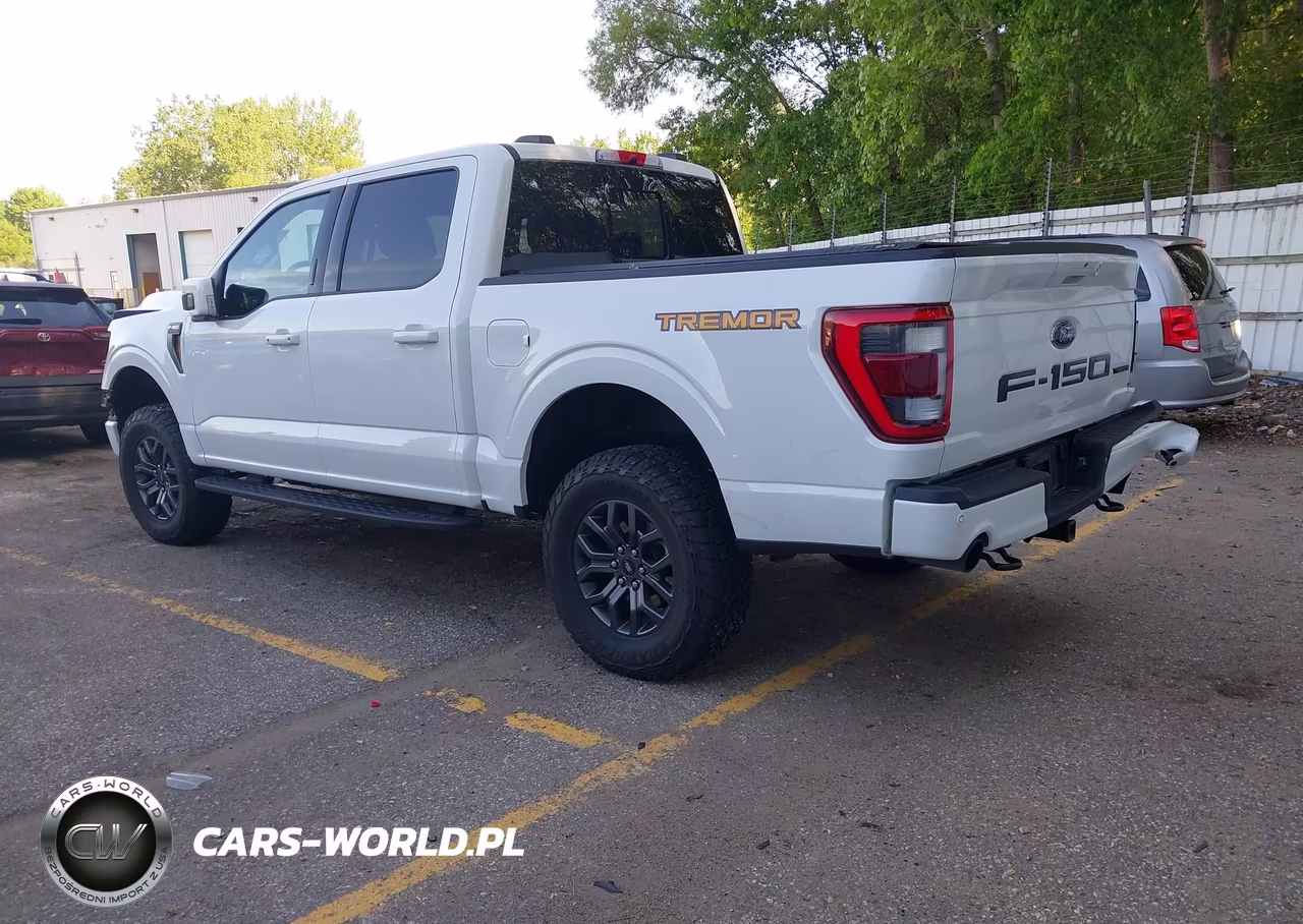 2021 Ford F-150 Tremor VIN:1FTEW1E86MFD00248 - 3