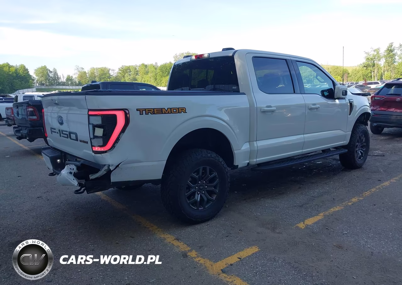 2021 Ford F-150 Tremor VIN:1FTEW1E86MFD00248 - 4