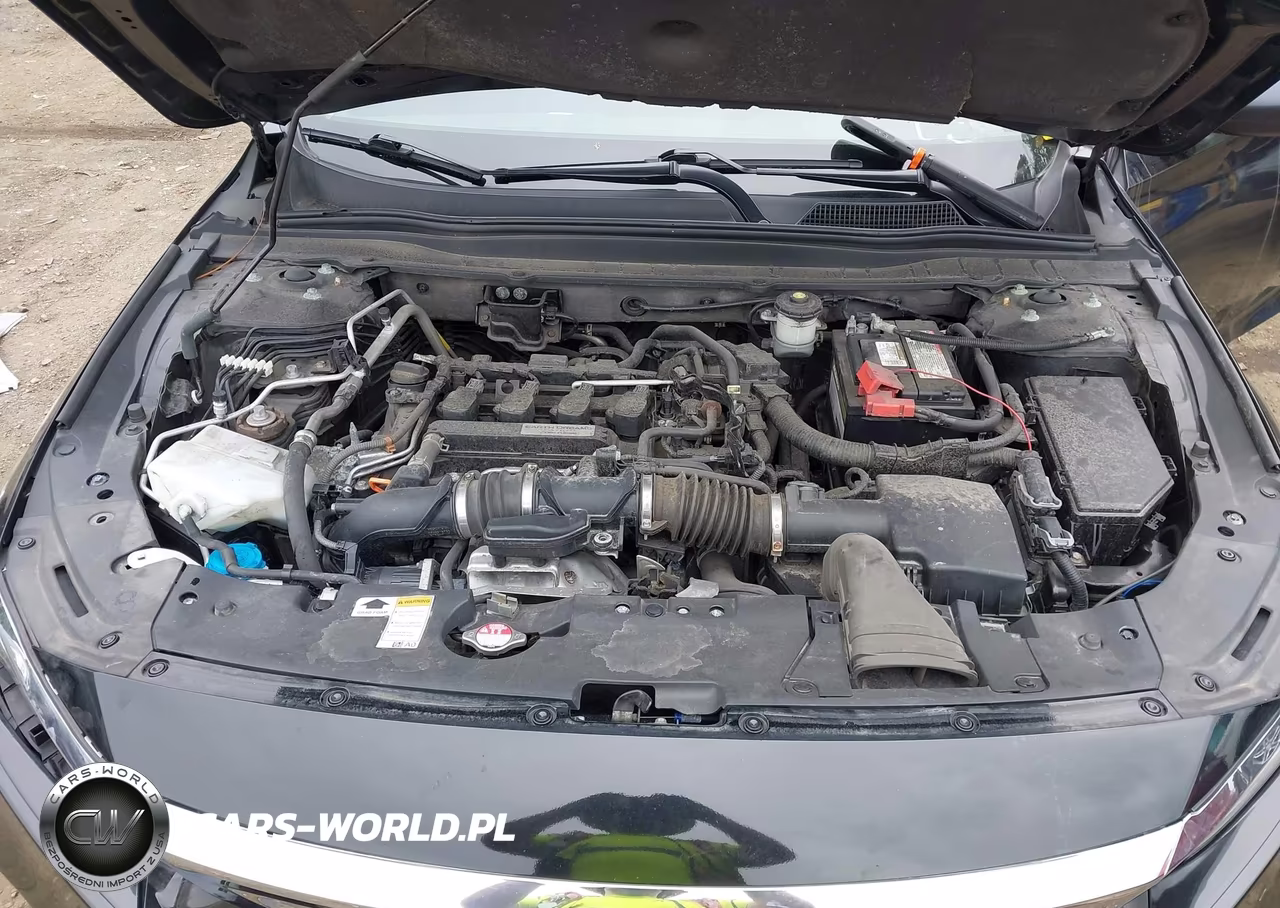 2019 Honda Accord Lx VIN:1HGCV1F10KA065093 - 10
