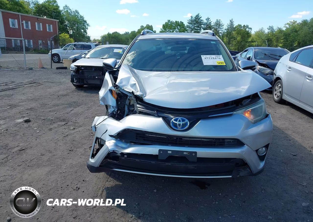 2016 Toyota Rav4 Hybrid Xle VIN:JTMRJREVXGD031983 - 12