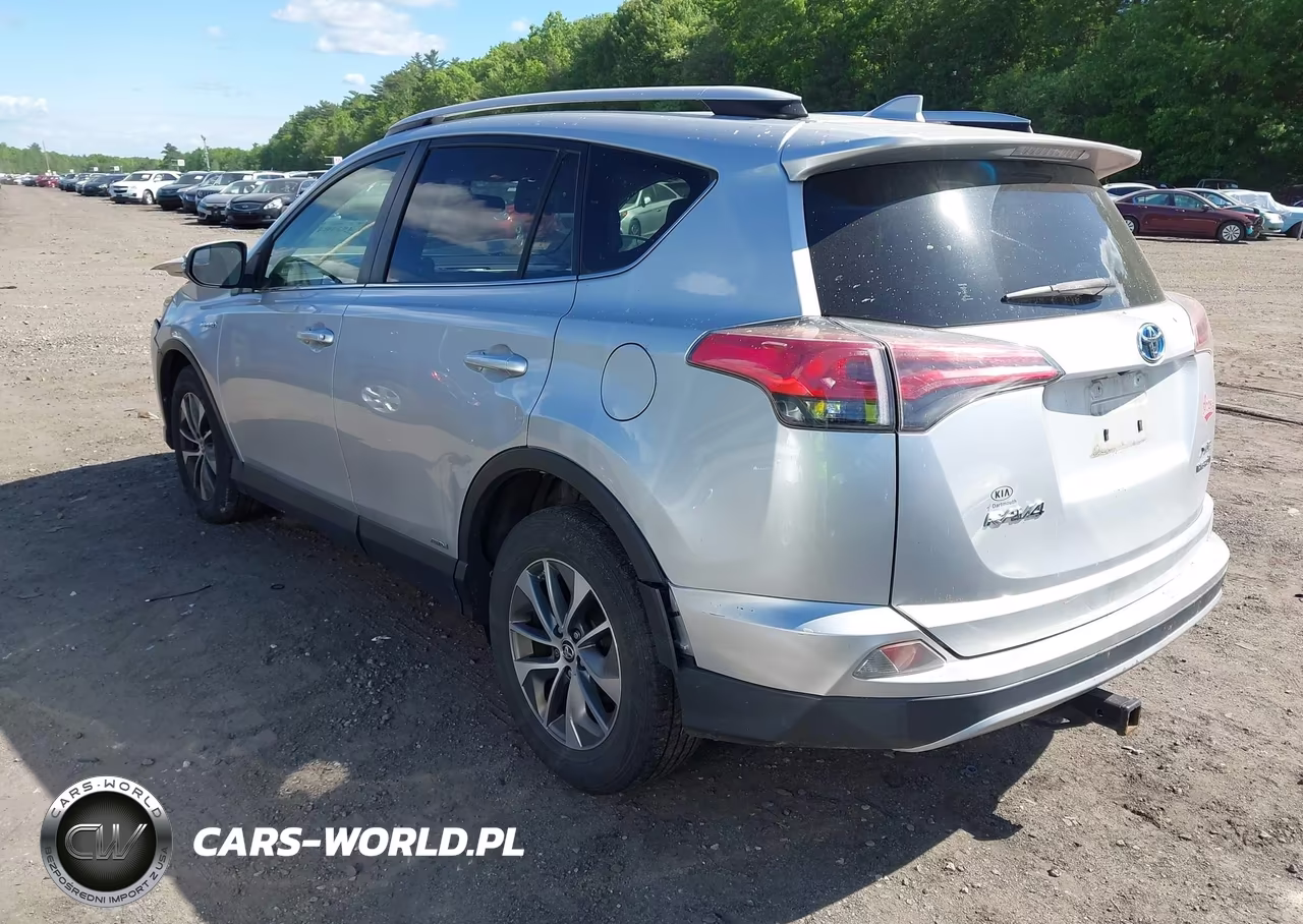 2016 Toyota Rav4 Hybrid Xle VIN:JTMRJREVXGD031983 - 3