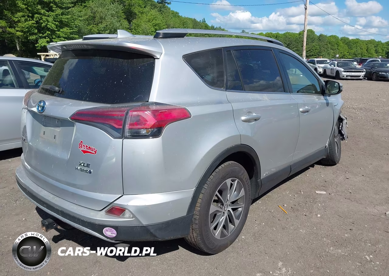 2016 Toyota Rav4 Hybrid Xle VIN:JTMRJREVXGD031983 - 4