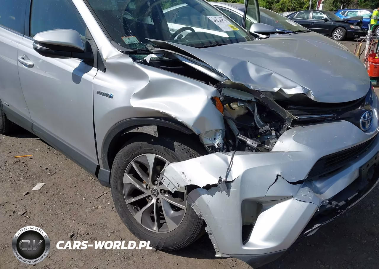2016 Toyota Rav4 Hybrid Xle VIN:JTMRJREVXGD031983 - 6