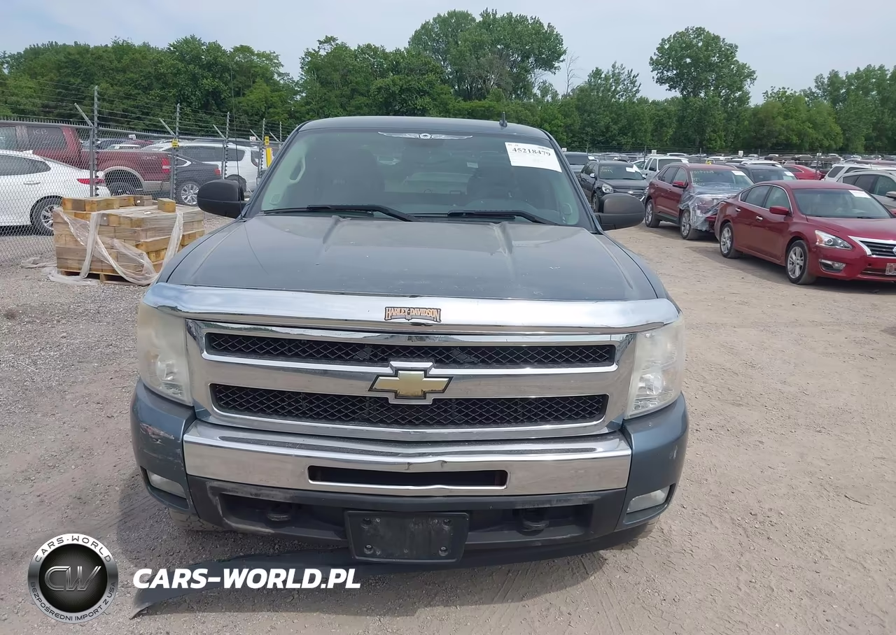 2010 Chevrolet Silverado 1500 Lt VIN:1GCSKSE39AZ169304 - 13