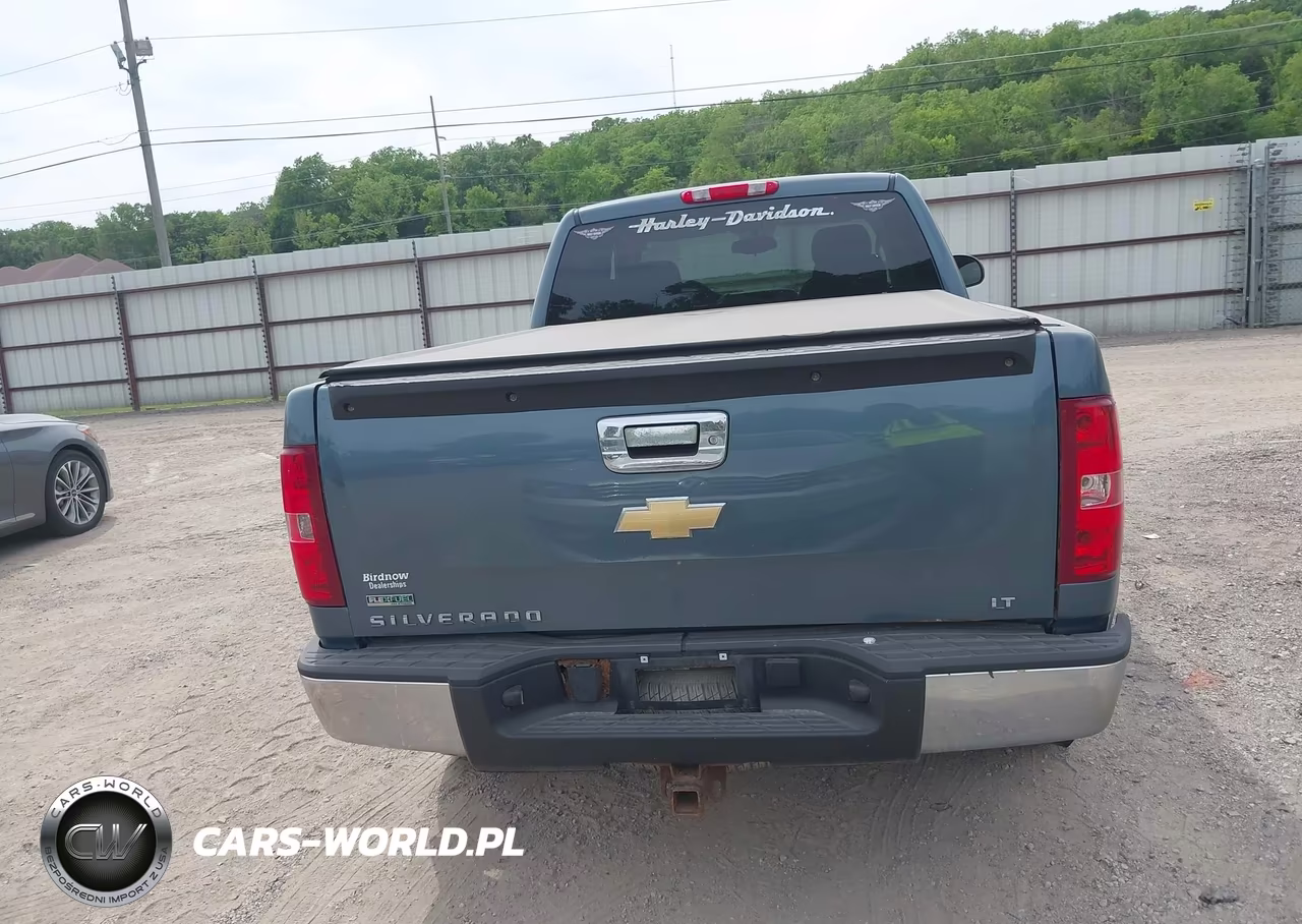 2010 Chevrolet Silverado 1500 Lt VIN:1GCSKSE39AZ169304 - 17