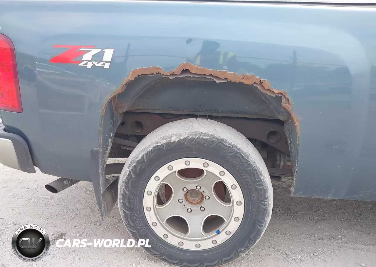 2010 Chevrolet Silverado 1500 Lt VIN:1GCSKSE39AZ169304 - 21