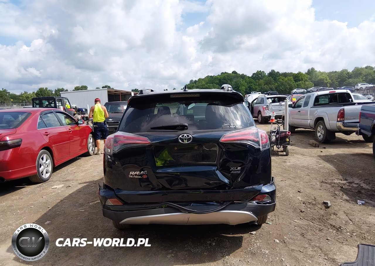 2017 Toyota Rav4 Xle VIN:JTMRFREV6HD213697 - 17