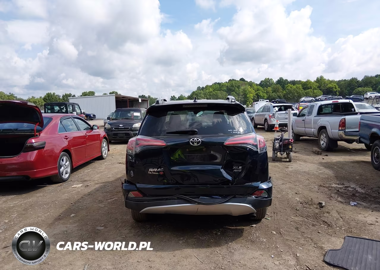 2017 Toyota Rav4 Xle VIN:JTMRFREV6HD213697 - 6