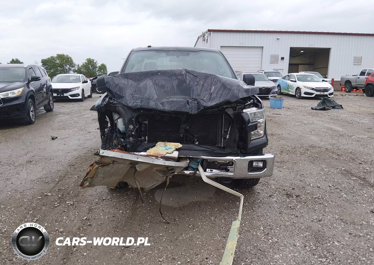 2016 Ford F-150 Xlt VIN:1FTEW1EG9GFA16074 - 12