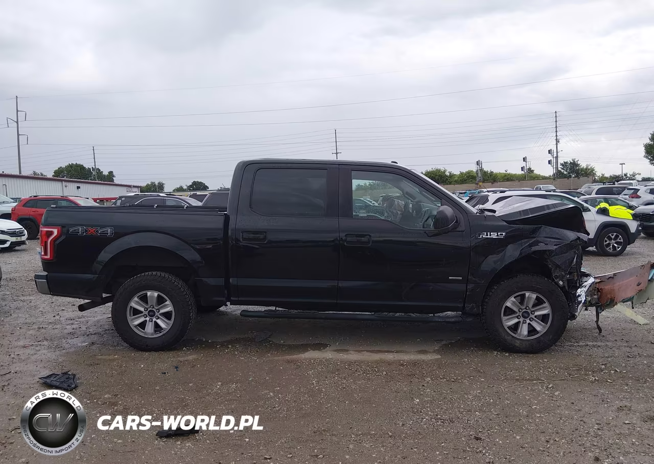 2016 Ford F-150 Xlt VIN:1FTEW1EG9GFA16074 - 13