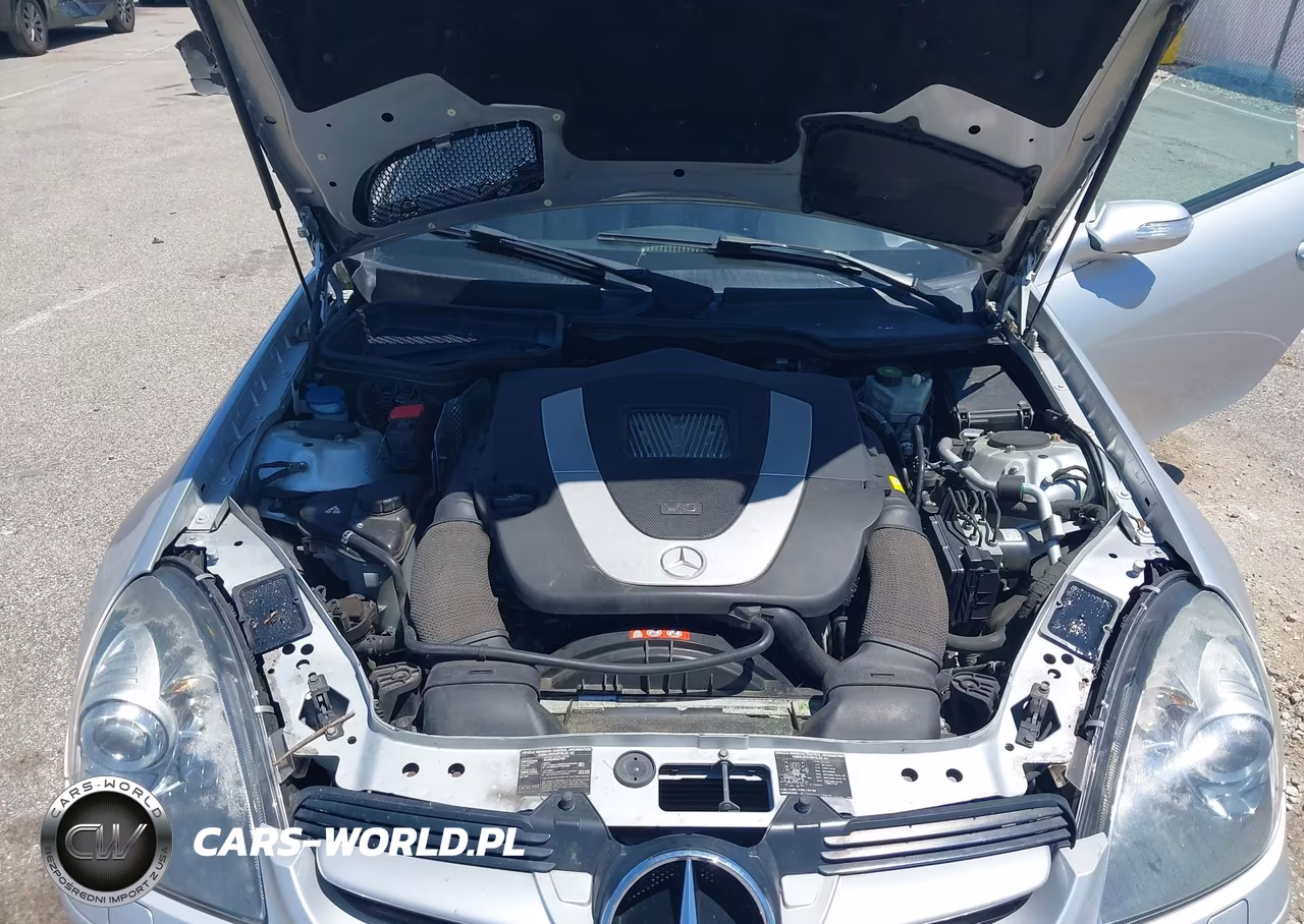 2007 Mercedes-Benz Slk 280 VIN:WDBWK54F07F150258 - 10