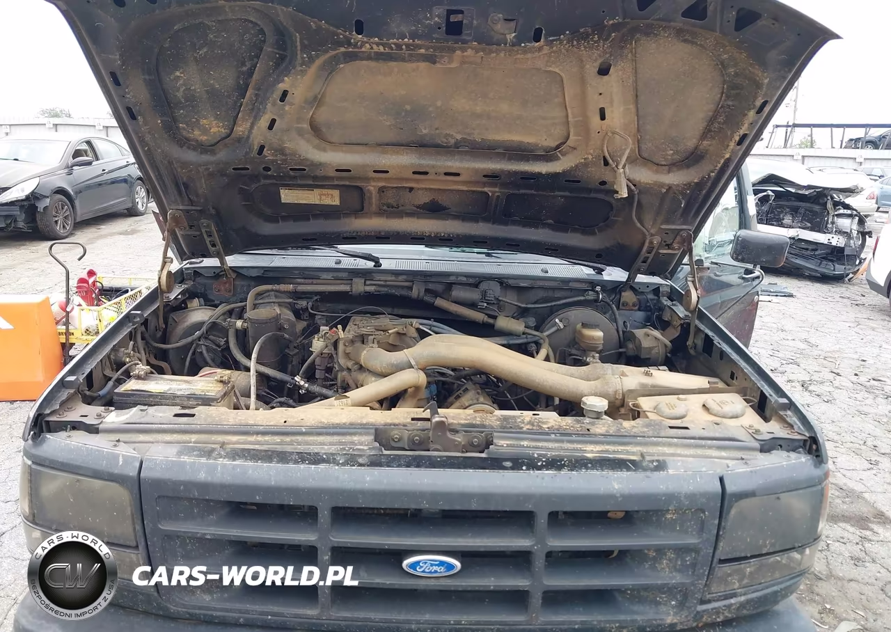 1992 Ford F150 VIN:1FTDF15N1NLA73913 - 10