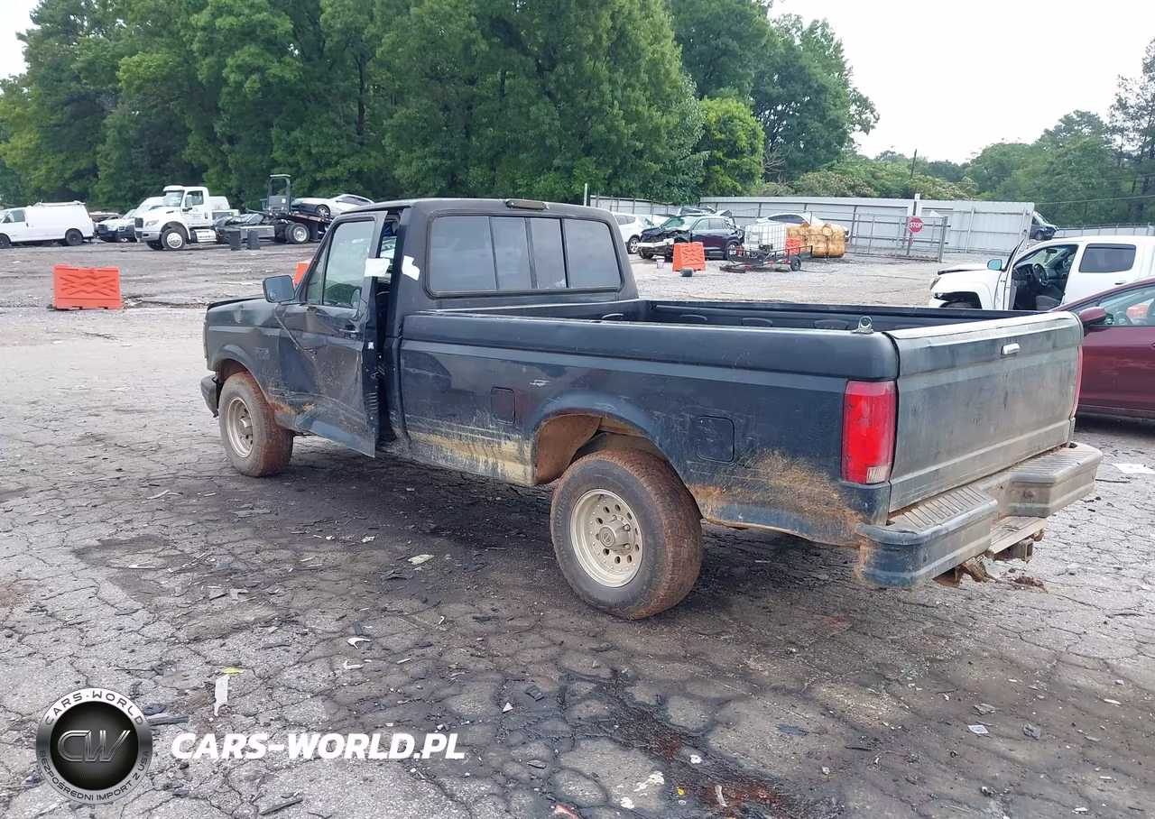 1992 Ford F150 VIN:1FTDF15N1NLA73913 - 3