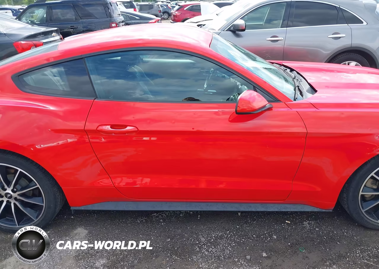 2017 Ford Mustang Ecoboost VIN:1FA6P8TH2H5316817 - 13