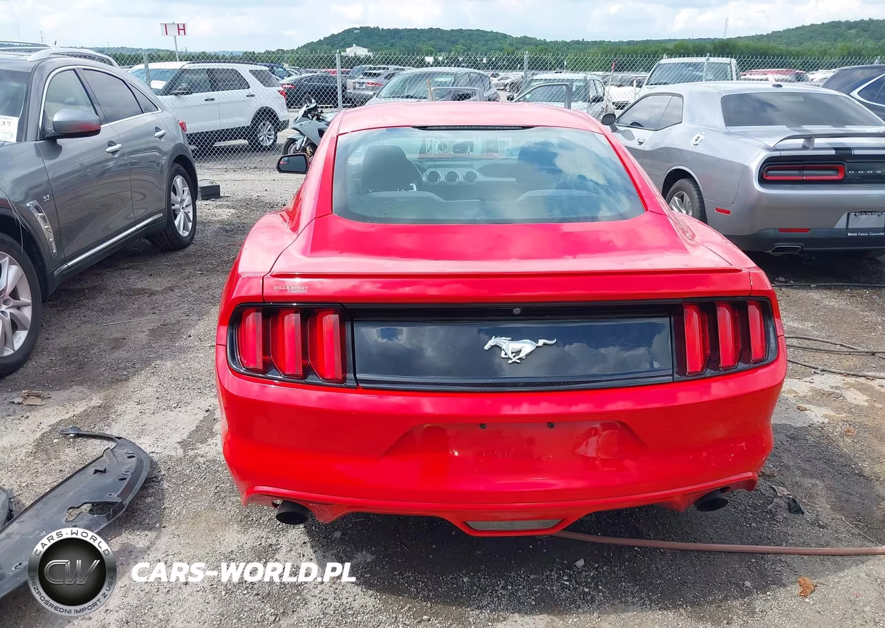 2017 Ford Mustang Ecoboost VIN:1FA6P8TH2H5316817 - 16