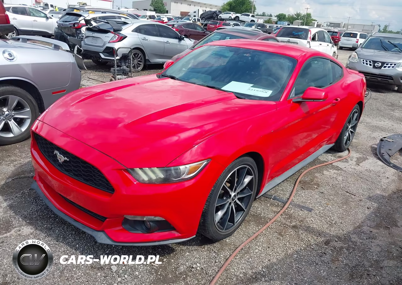 2017 Ford Mustang Ecoboost VIN:1FA6P8TH2H5316817 - 2