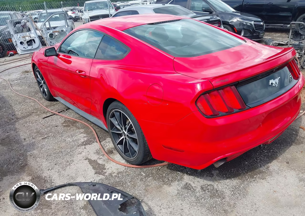 2017 Ford Mustang Ecoboost VIN:1FA6P8TH2H5316817 - 3
