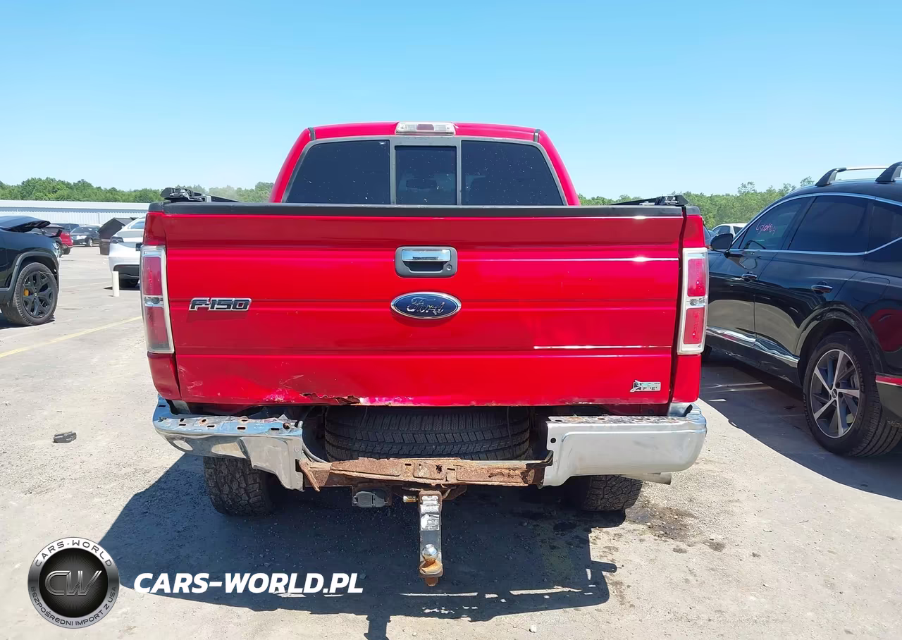 2010 Ford F-150 Fx4-Harley-Davidson-King Ranch-Lariat-Platinum-Xl-Xlt VIN:1FTFW1EV9AFA55676 - 16