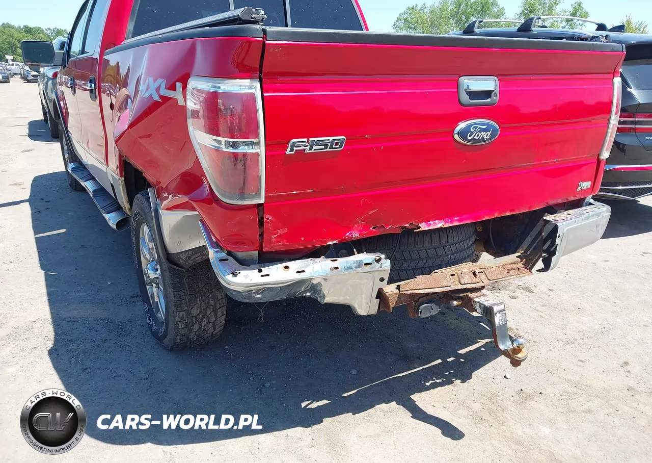 2010 Ford F-150 Fx4-Harley-Davidson-King Ranch-Lariat-Platinum-Xl-Xlt VIN:1FTFW1EV9AFA55676 - 6