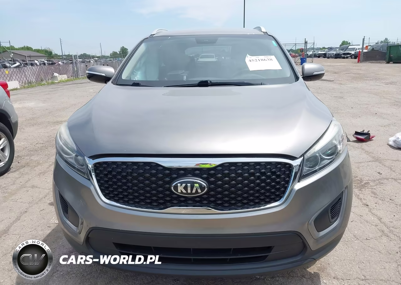 2016 Kia Sorento 2.4L Lx VIN:5XYPG4A35GG089370 - 13