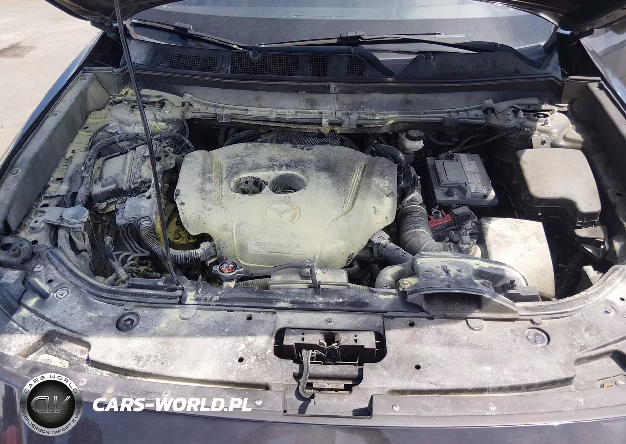 2018 Mazda Cx-9 Signature VIN:JM3TCBEY7J0216614 - 10
