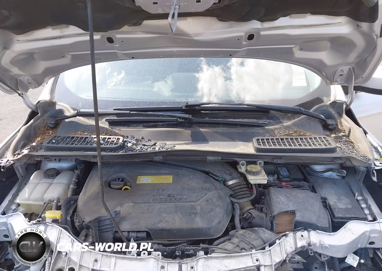 2014 Ford Escape Se VIN:1FMCU9GX7EUA09721 - 10