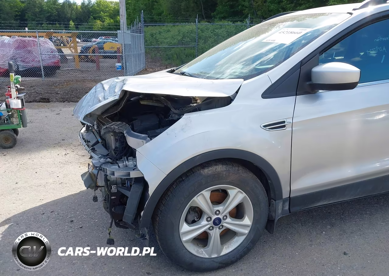 2014 Ford Escape Se VIN:1FMCU9GX7EUA09721 - 14