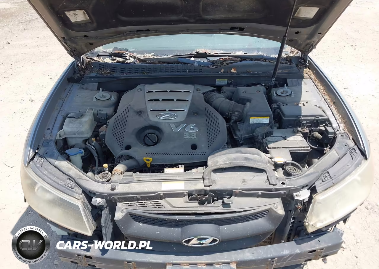 2006 Hyundai Sonata Gls V6-Lx V6 VIN:5NPEU46F16H084032 - 10