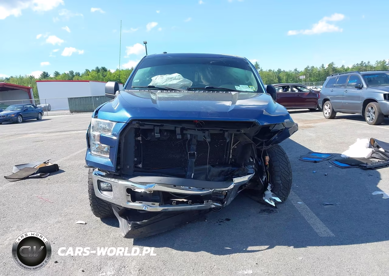 2015 Ford F-150 Xl VIN:1FTEX1E83FKF19398 - 12