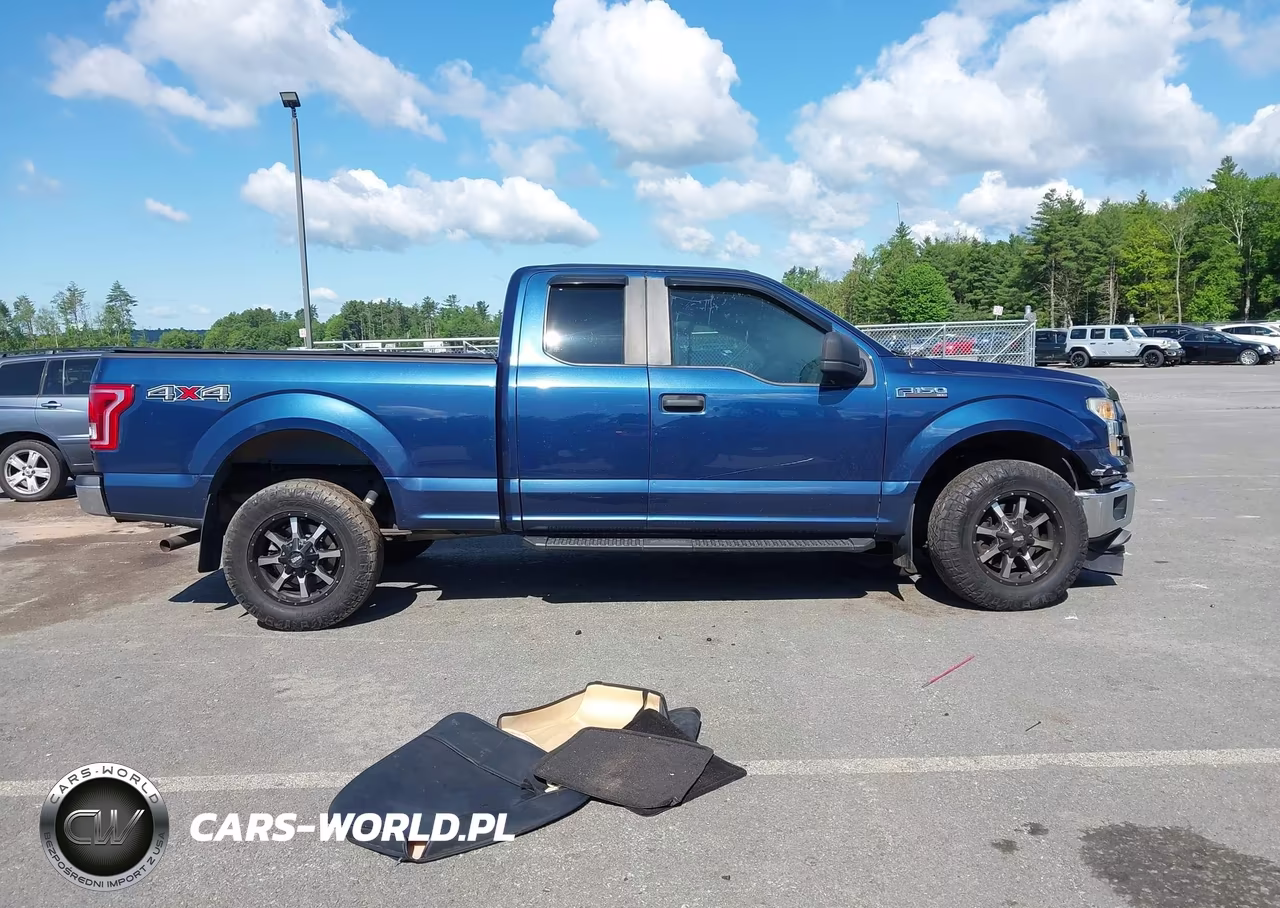 2015 Ford F-150 Xl VIN:1FTEX1E83FKF19398 - 13