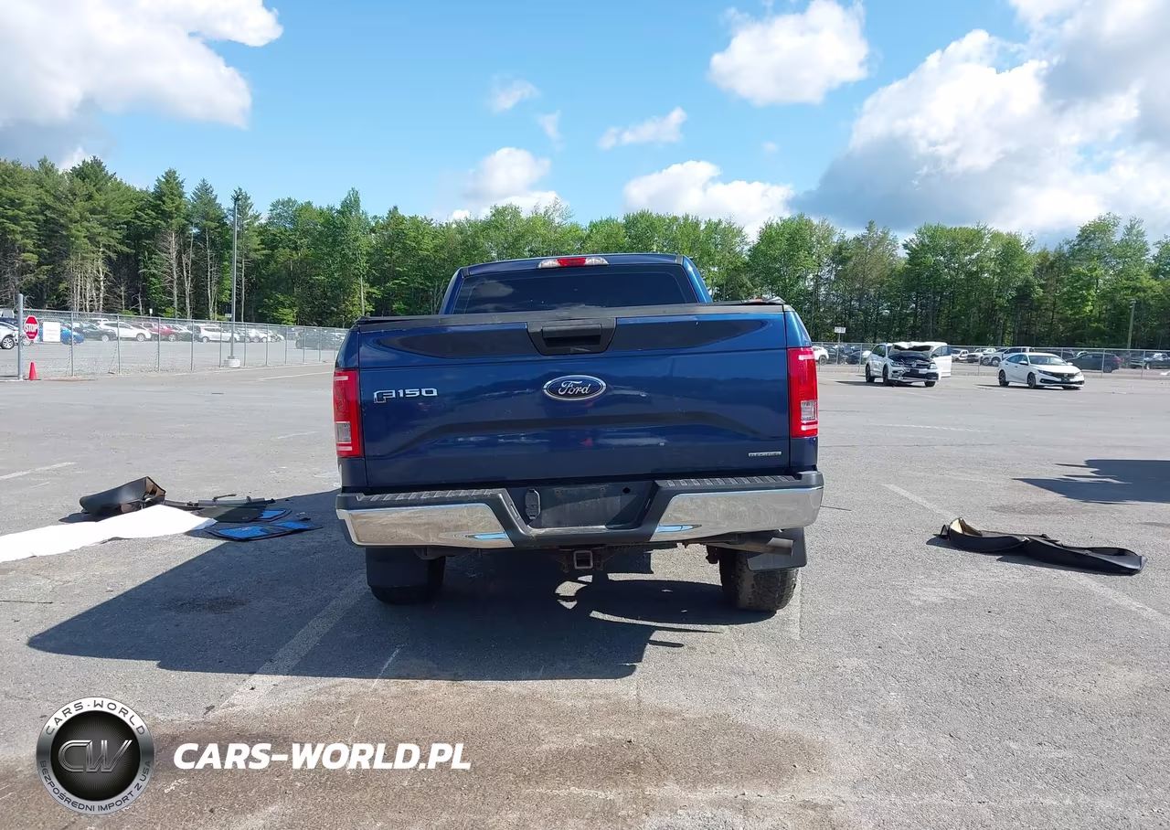 2015 Ford F-150 Xl VIN:1FTEX1E83FKF19398 - 16