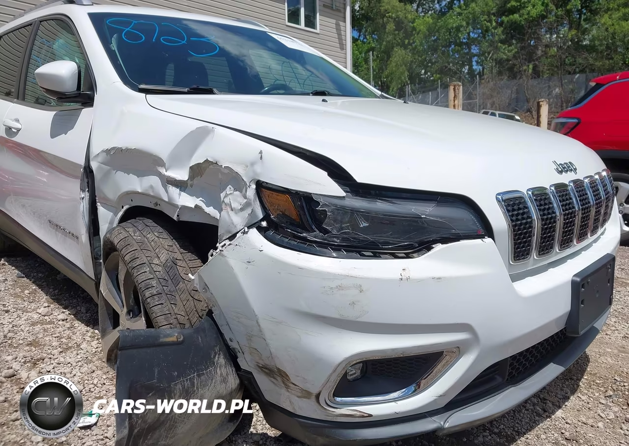 2019 Jeep Cherokee Limited 4X4 VIN:1C4PJMDX5KD139756 - 17