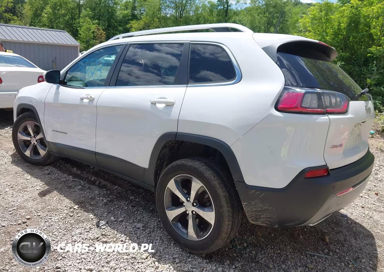 2019 Jeep Cherokee Limited 4X4 VIN:1C4PJMDX5KD139756 - 3