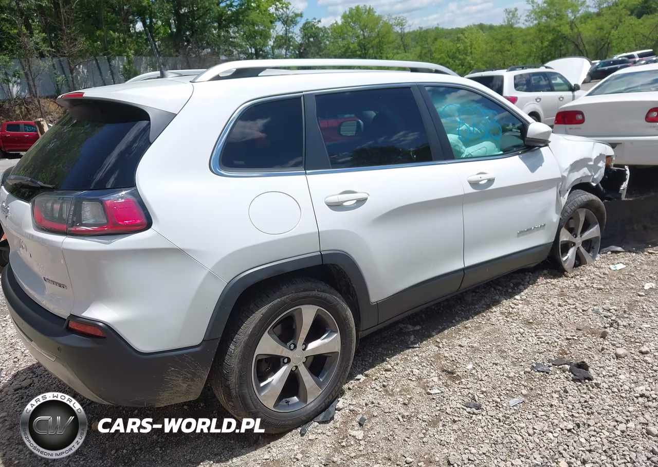 2019 Jeep Cherokee Limited 4X4 VIN:1C4PJMDX5KD139756 - 4