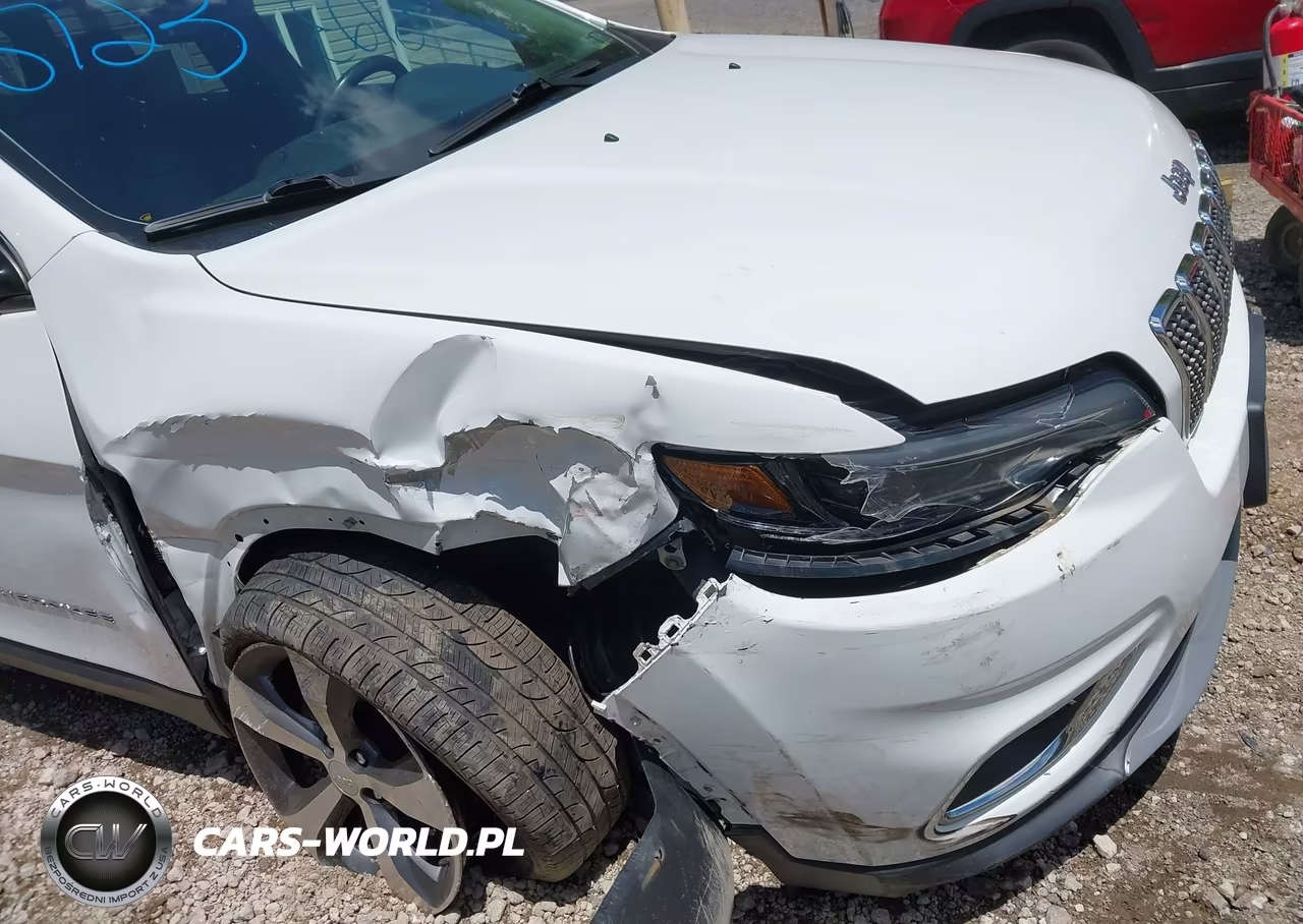 2019 Jeep Cherokee Limited 4X4 VIN:1C4PJMDX5KD139756 - 6